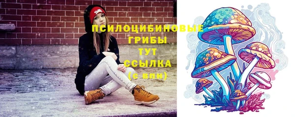 apvp Алексин