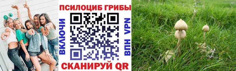 блэк спрут ССЫЛКА  купить  сайты  Нурлат  Псилоцибиновые грибы Cubensis 